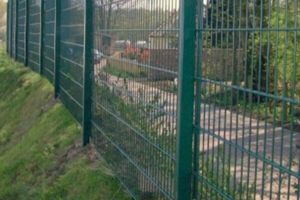 144009427_3720702641347819_8378536746397860832_o